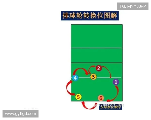 广州排球队比赛经验深度对比分析与发展潜力探讨