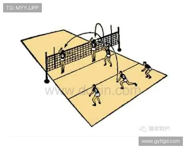 广州排球队阵地战解析：战术运用与球队发展全景剖析